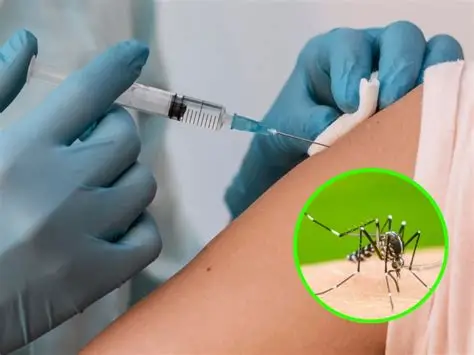 Nación enviará vacunas contra el dengue a Entre Ríos